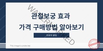 관절보궁 효과 가격 구매방법 알아보기