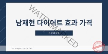 남재현 다이어트 효과 가격