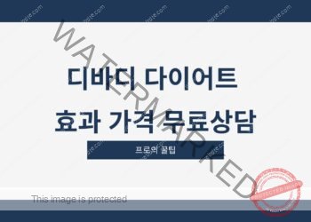 디바디 다이어트 효과 가격 무료상담