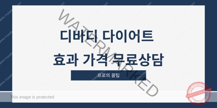 디바디 다이어트 효과 가격 무료상담