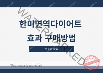 한미면역다이어트 효과 구매방법