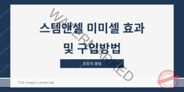 스템앤셀 미미셀 효과 및 구입방법
